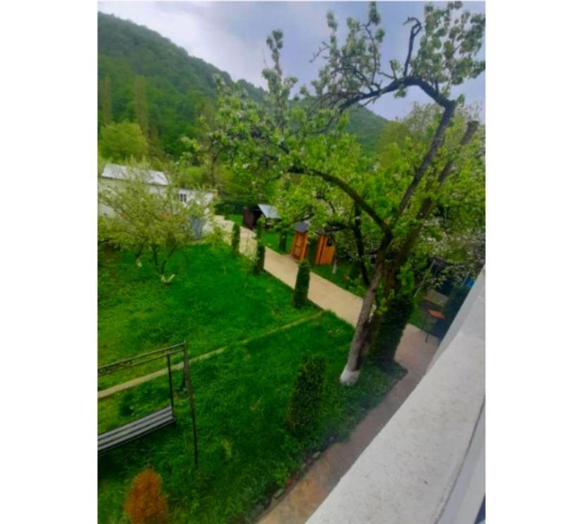 Garden * Dilijan