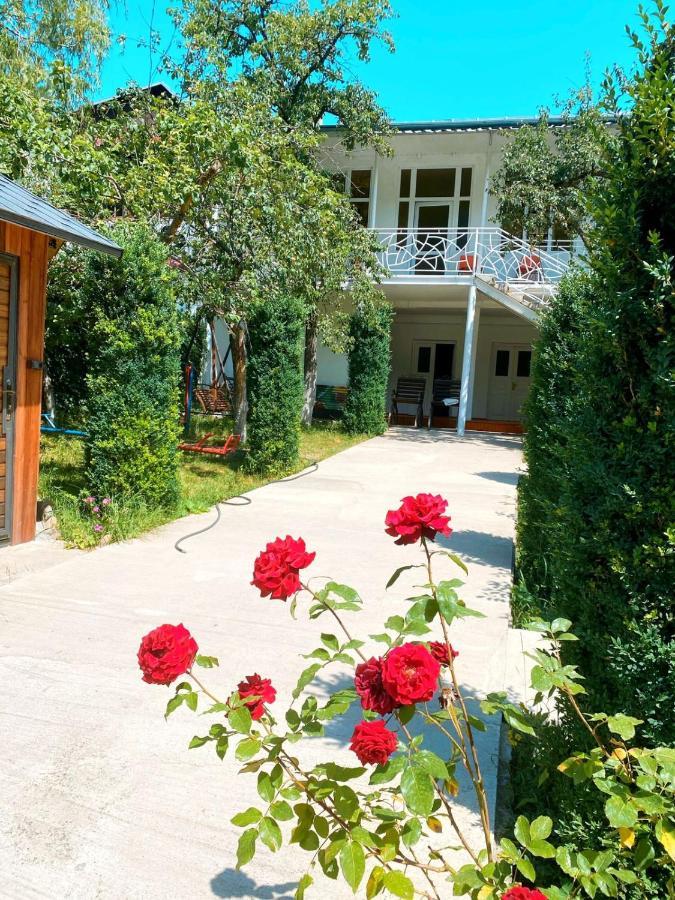 Garden فندق مبيت وإفطار