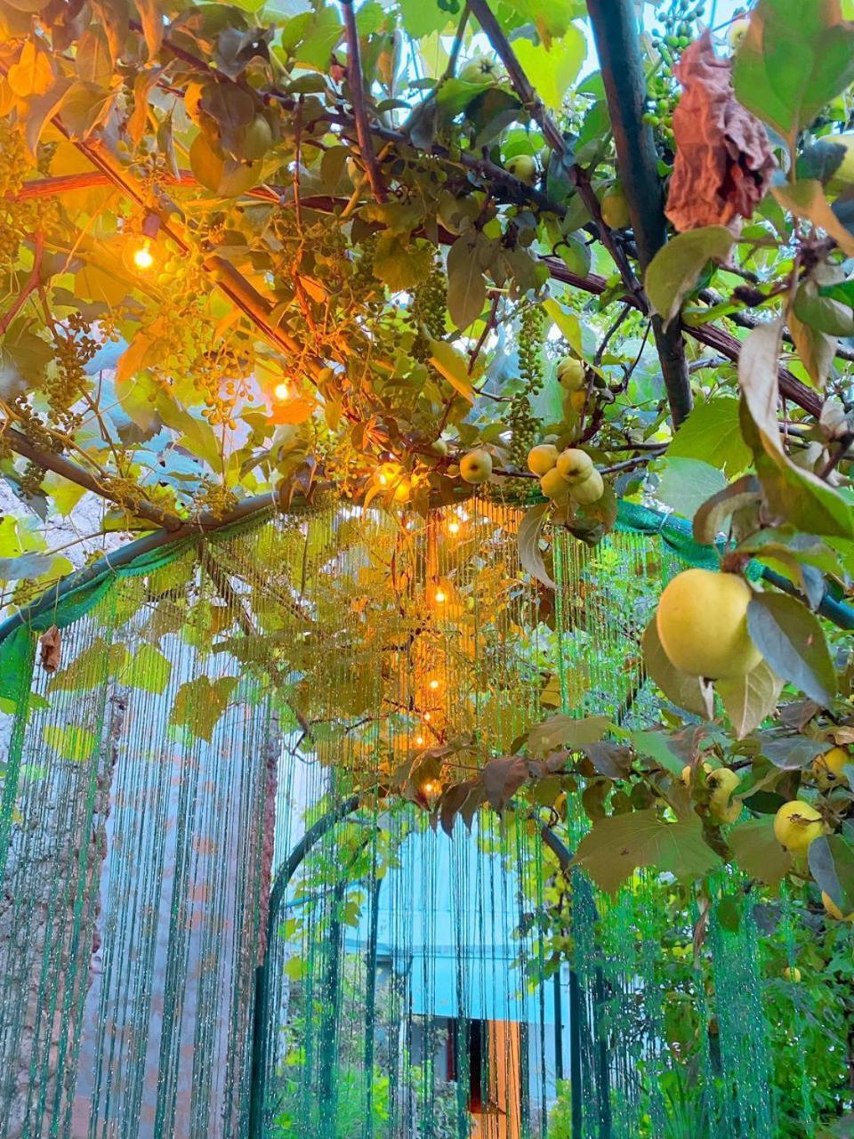 Garden فندق مبيت وإفطار *