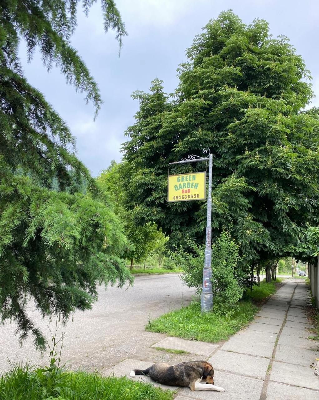 فندق مبيت وإفطار Garden *